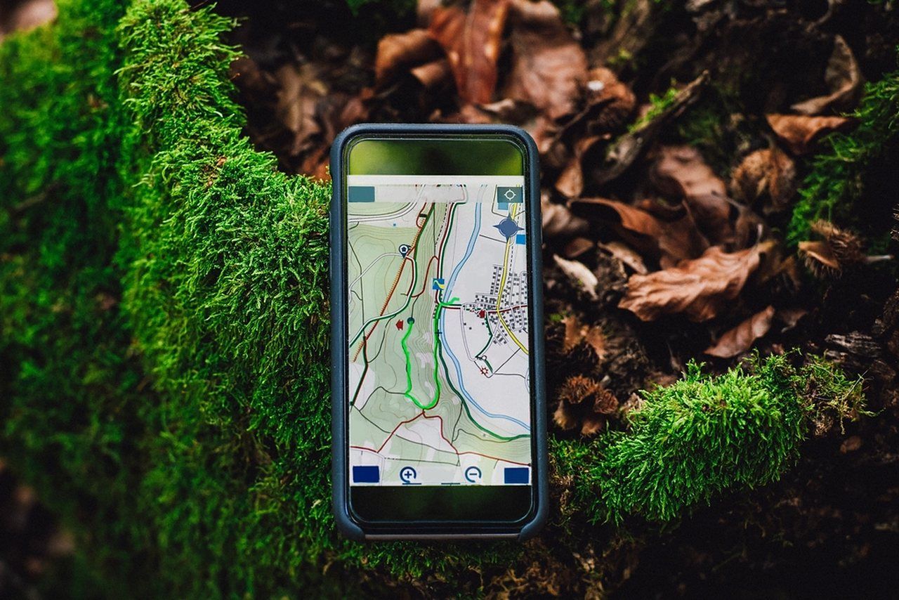 Smartphone mit geöffneter Landkarte auf moosbewachsenem Waldboden